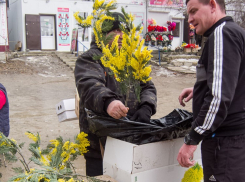 Плюсовые температуры и небольшой дождь (или снег) прогнозируют синоптики в Камышине 7 марта