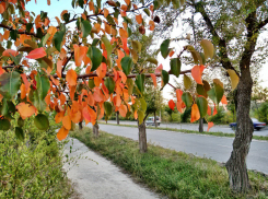 Синоптики заявили, что по ночам камышане почувствуют дыхание осени