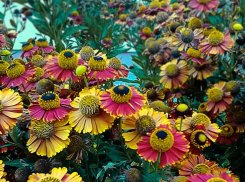 Лето в Камышине пока не заканчивалось