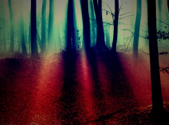 Откуда взялась легенда в соцсетях про предсмертную записку погибшего на «встречке» молодого камышанина?