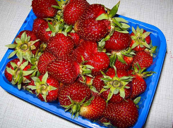 Витаминный ценопад в Камышине: клубника дешевеет на глазах