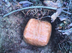 Оперативники обнаружили на территории Камышинского района два тайника с наркотиками