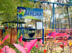Сильный ветер северных направлений прервет затянувшуюся красивую багряную осень в Камышине
