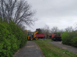 В Камышине техника зашла на центральную аллею парка Текстильщиков - началась выкорчевка кустарника