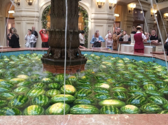 Читатели «Блокнота Камышина» показали, как проходит «день арбуза» в московском ГУМе сегодня, 25 августа