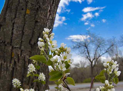 Волгоградская область стала третьей в стране по летальности от коронавируса, - «Блокнот Волгограда»