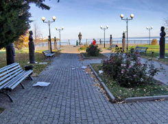 В Камышине розы на аллее знаменитостей заносит мусором, где же наши дворники? - камышанка