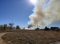 Появились подробности о пожаре за Волгой напротив Камышина
