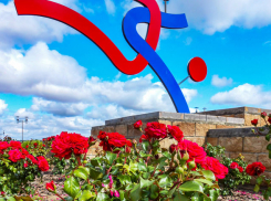 В Камышине 8 сентября продолжится лето: погодная повестка на понедельник