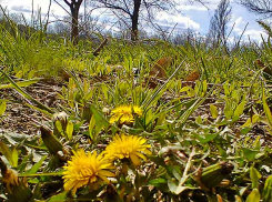 Холодный фронт постепенно покинет Камышин