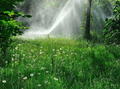 К Камышину подбираются дожди