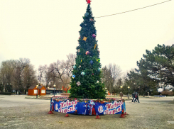 В Камышине в городском парке у фонтана нарядили новогоднюю елку с красной звездой 