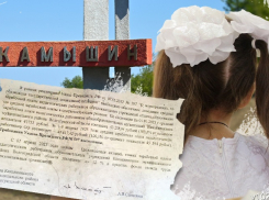 «Опять про нас забыли?»: учителя Камышинского района бьются за индексацию зарплат, - волгоградский портал «Высота 102»