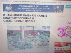 Камышинская административная газета «Диалог» даже заголовки пишет с ошибками, за которые ставят двойки семиклассникам