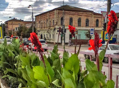 В Камышине при голосовании жителей предварительно победителем среди территорий благоустройства стала зона улицы Советской
