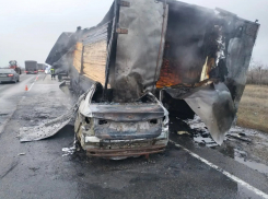 На трассе между Камышином и Волгоградом лесовоз и легковушка столкнулись и вспыхнули, «скорые» забрали три трупа с места происшествия (ВИДЕО)