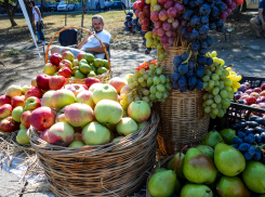 Самым красивым компонентом фруктовых ваз на Арбузном фестивале в Камышине стал виноград, цену же на него «загнули» по максимуму
