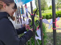 В городе Петров Вал Камышинского района запустили в полет голубей мира