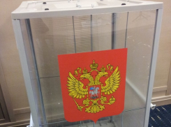 В Камышине начался первый из трех дней голосования в двух избирательных округах по довыборам депутатов Камышинской городской думы