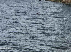 Тело камышанина Сергея Галкина подняли из воды на противоположном берегу Волги