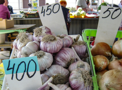 В Камышине чеснок побил рекорды дороговизны на овощных прилавках