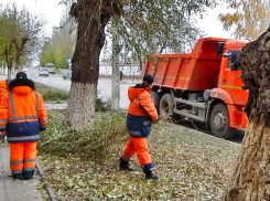 Дизельное топливо стало рекордсменом по подорожанию в Волгоградcкой области и в Камышине