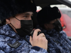 В Камышине сотрудники Росгвардии оказали помощь полиции в задержании подозреваемого в краже