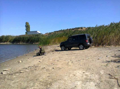 Под Камышином сильно обмелели водоемы, но дорогой свежей рыбы в продаже достаточно