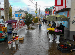  Туман и небольшой дождь предсказали синоптики камышанам сегодня, 10 ноября