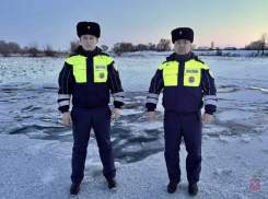 Ирина Волк: Полицейские из Волгоградской области пришли на помощь водителю и пассажиру автомобиля, провалившегося под лед
