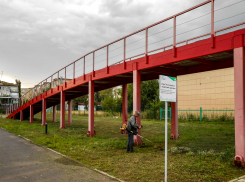 В Камышине «косари» вышли удалять сорную траву под красным мостом