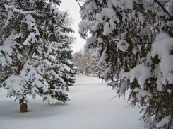 Метеорологи разглядели в тумане сегодняшнего утра слабую геомагнитную бурю в Камышине