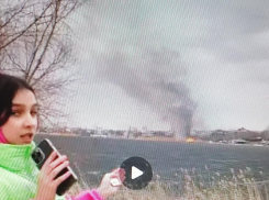 Не волнуйтесь и не переживайте: в Волгоградской области начали контролируемый, но засекреченный отжиг сухой травы и камыша (ВИДЕО)