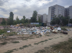 Неужели нельзя установить камеру напротив одной из самых мерзких стихийных «мусорок» в Камышине? - камышанка