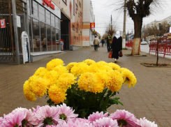 Свежий, солнечный день с 5-балльной магнитной бурей: погодный прогноз для камышан на 26 ноября
