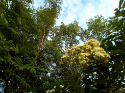 В Камышине на улице Юбилейной обнаружен труп покончившего с собой мужчины