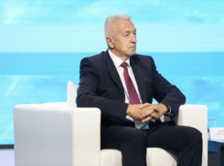 На последнем заседании депутаты Облдумы наградили сами себя и представили спикера Блошкина к медали ордена, - «Блокнот - Волгоград»