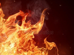 В Камышине в пятом микрорайоне сгорели сразу четыре автобуса