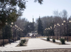 Камышан зовут в городской парк - натанцеваться до упаду