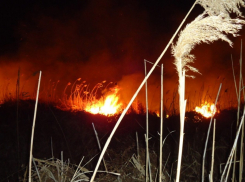 В Камышине в  нескольких метрах от метановской заправки вспыхнул огонь