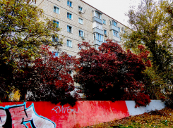 А вот тут некому убрать «какули»-каракули? - камышанка