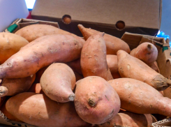 Камышанам привезли батат - мексиканскую картошку по сумасшедшей цене