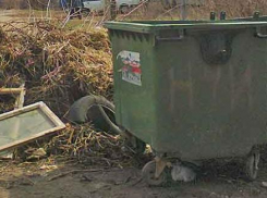 В Камышине кто-то сжег сразу три пластиковых контейнера для мусора