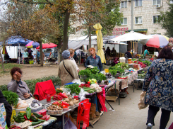 На сколько камышинским пенсионерам повысят пенсии в 2024 году