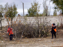 Кого срочно возьмут на работу в Волгоградской области этой осенью