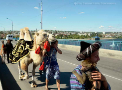 Администрация Камышина сообщила, какие улицы перекроют в дни Арбузного фестиваля