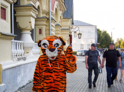 Конкурс на должность главы Камышина неожиданно вырос до трех человек, персоны будут озвучены в ближайшее время