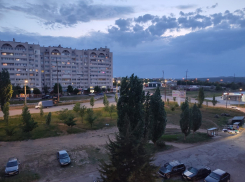 Тепло и небольшой дождь: погода в Камышине 8 мая