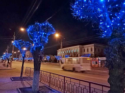 Администрация Камышина озвучила, как будут ходить муниципальные автобусы 1 и 2 января