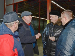 Замгубернатора оценил как перспективные инвестпроекты Камышинского района по переработке семян тыквы и разведению скота мясных пород